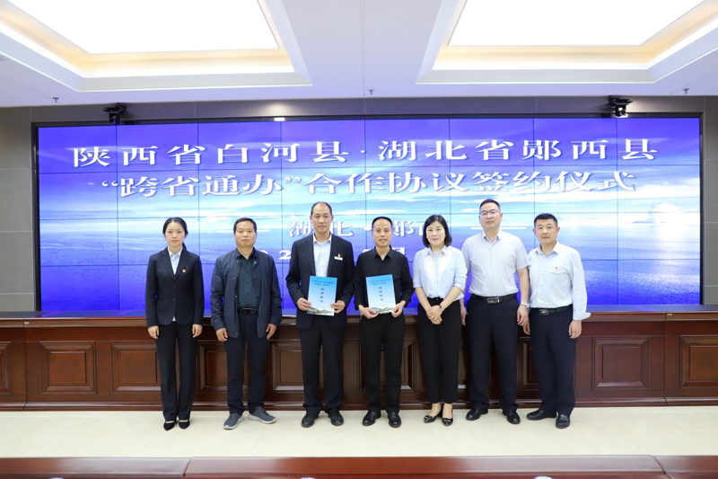 大型活动策划行业的最新趋势与案例分析